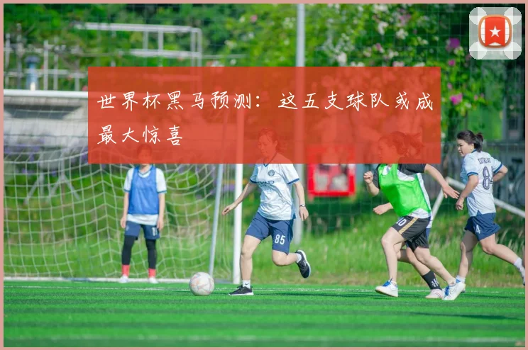 世界杯黑马预测：这五支球队或成最大惊喜